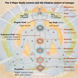Chakras | Wheel of Energy | Vishwas Healing Centre