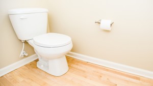 Keep Bathroom Door Closed and Toilet Lid Down | Feng Shui Tip | Vishwas Healing Centre