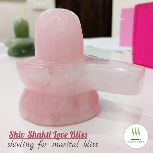 Shiv Shakti Bliss Shivling