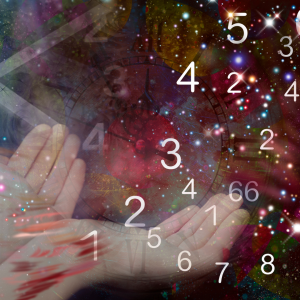 Numerology Training Program