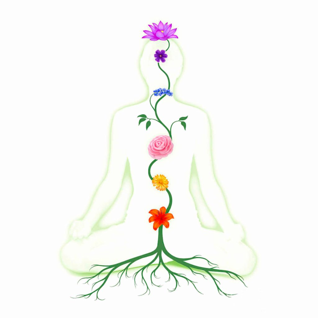 Colours Of The Aura | Vishwas Healing & Health Care