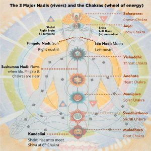Chakra wheel of energy | Vishwas Healing & Health Care